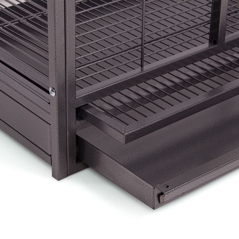 Voliere New Melbourne I